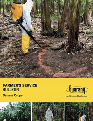 Farmer's Bulletin Service - Banana Crops